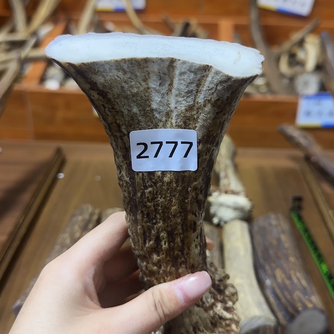 鹿骨手串/手链刀柄2777