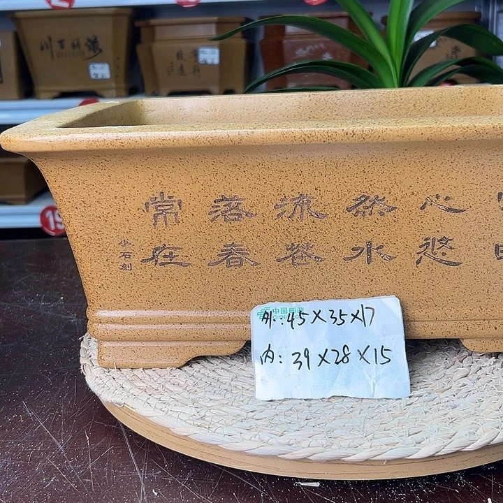 紫砂花盆蛇年大吉