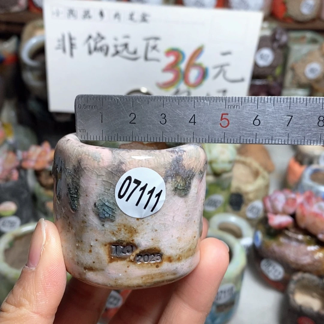 花盆拍3送一个小礼物