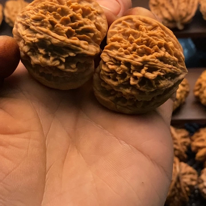 秦岭赵赵文玩 流星雨 42