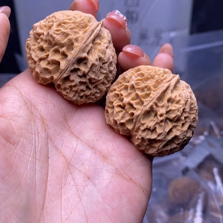 文玩核桃把件云南野生铁核桃122号40mm