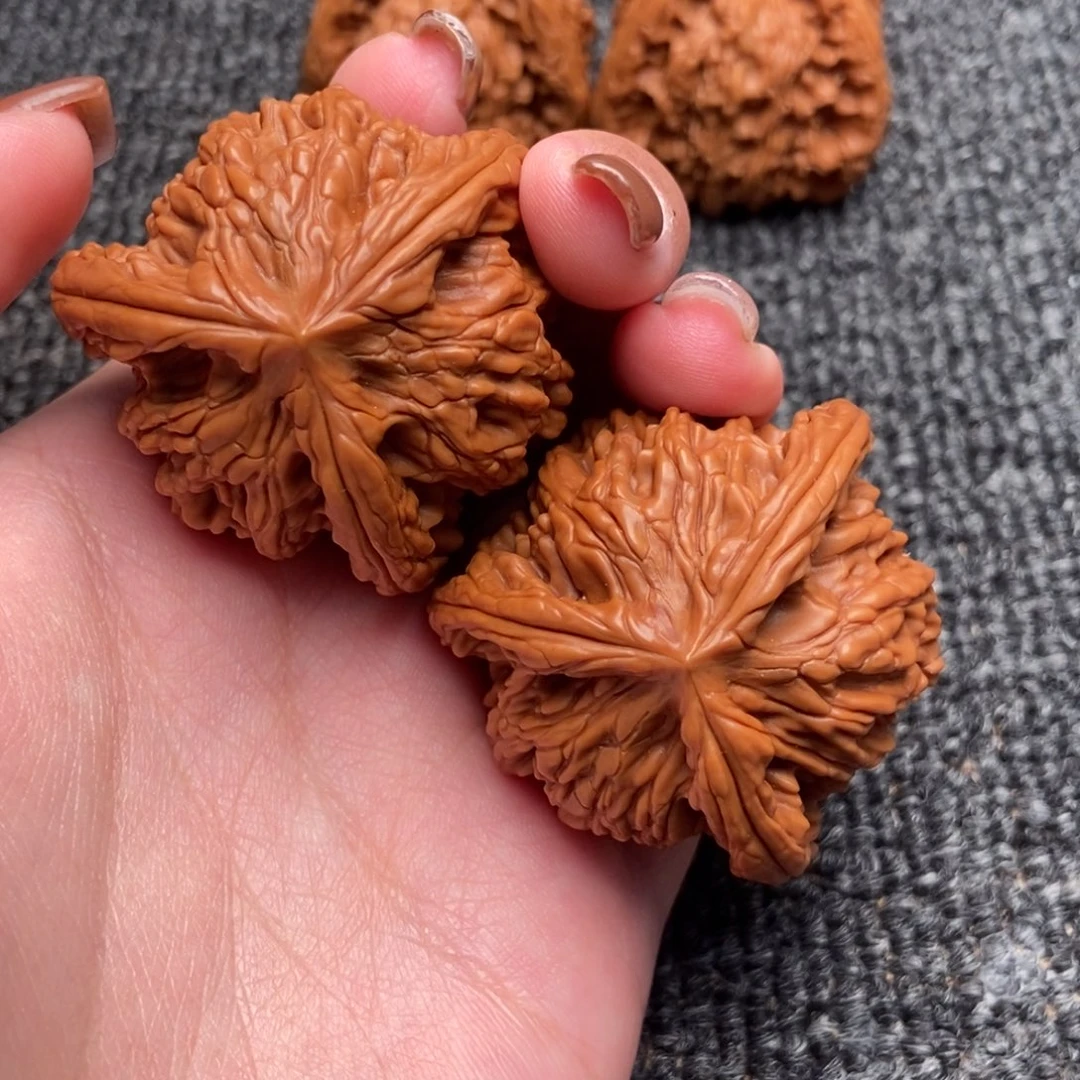 天***路木质类虎头正奔一对