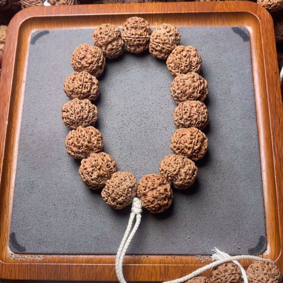 菩提籽类23号金刚菩提蜂窝双龙23