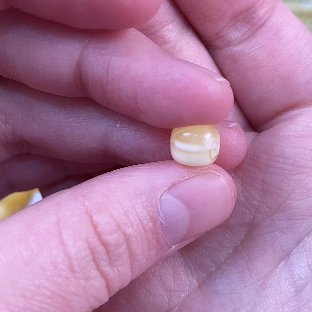 L***F蜜蜡未镶嵌珠宝奇石