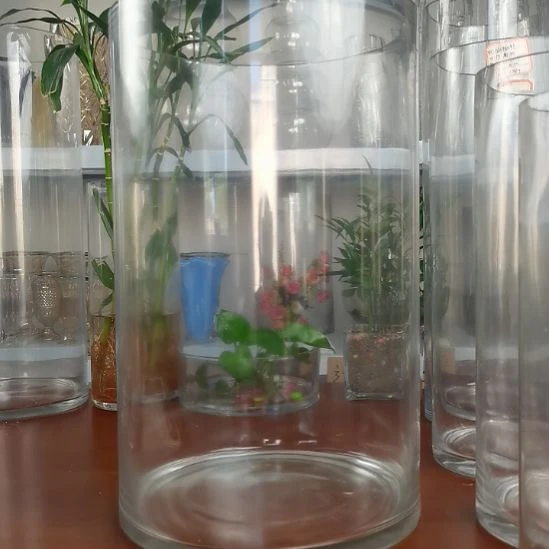 玻璃昌达玻璃直筒高度40口径25