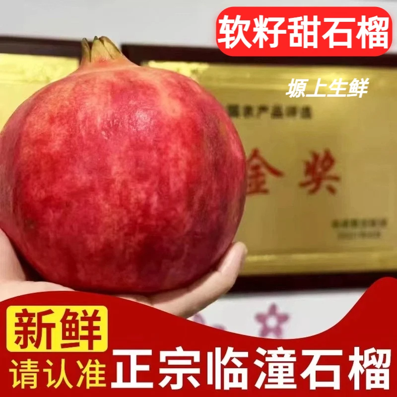 【塬上生鲜】陕西临潼软籽石榴西安特产新鲜当季石榴整箱产地直发
