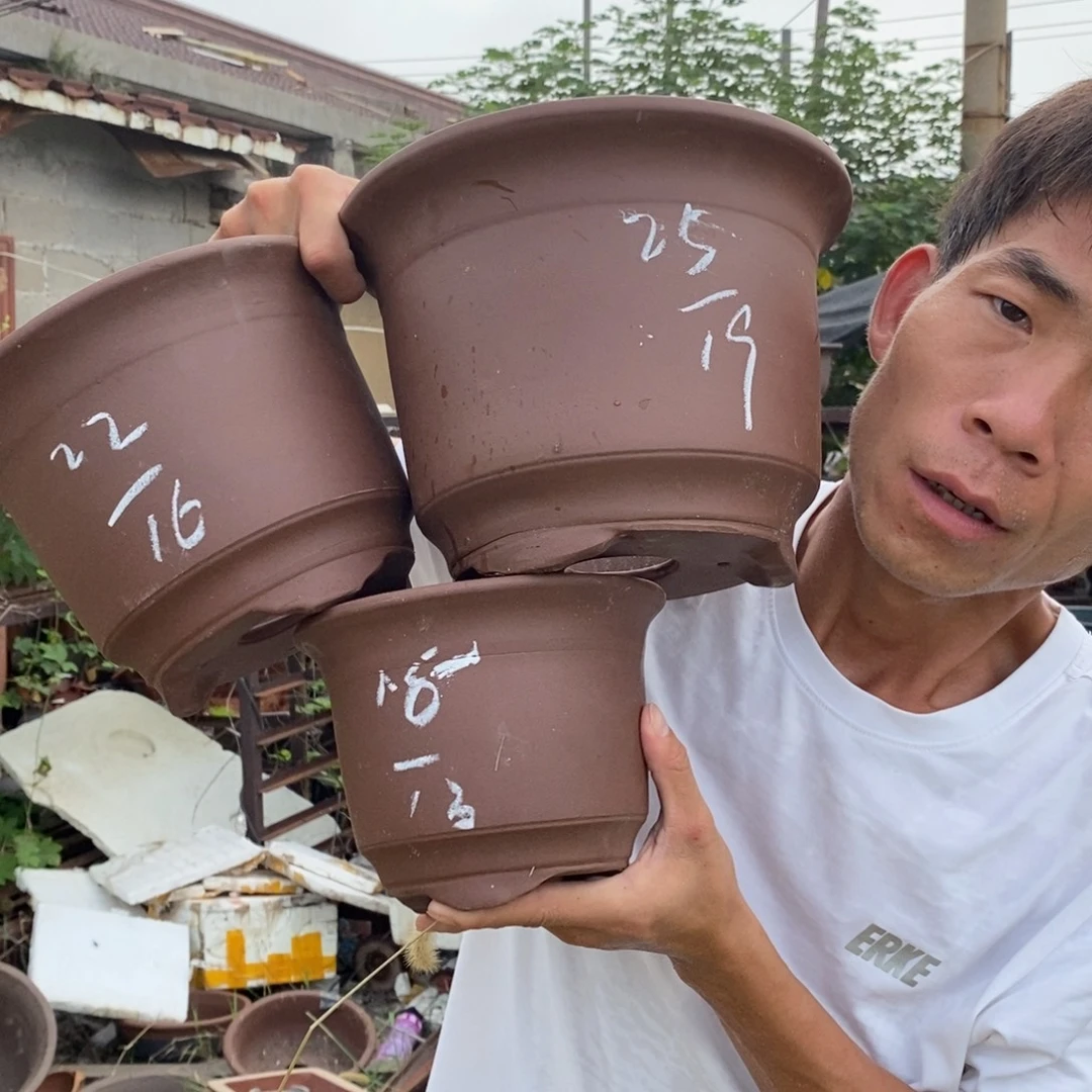 紫砂器，紫砂壶的时候就