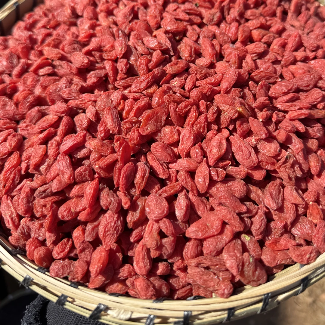 【小刚代收】  枸杞