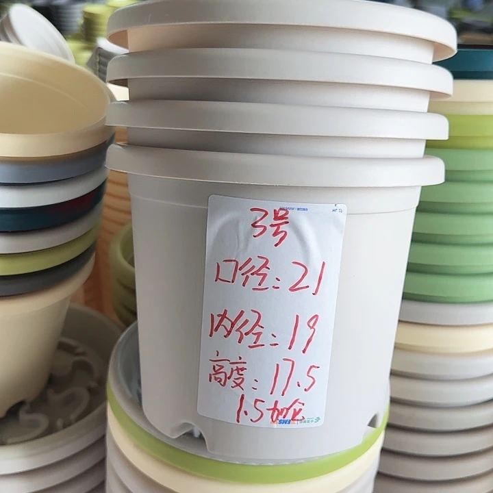 四季3#灰白10个无托