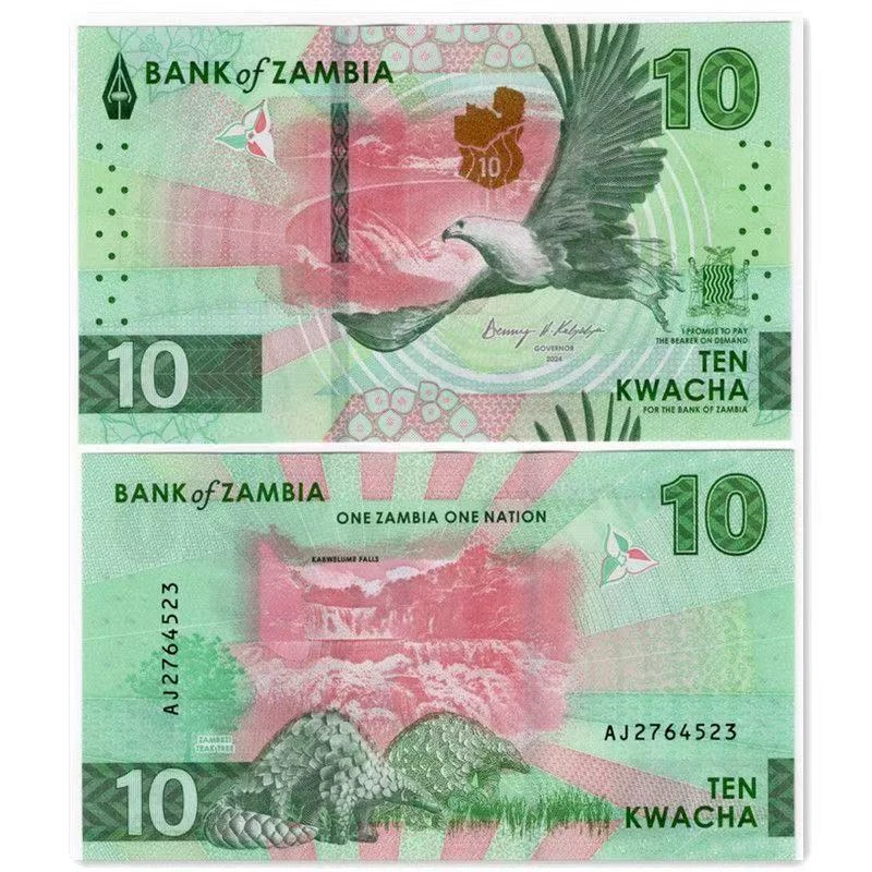 【非洲】赞比亚2024年10克瓦查纸币 飞鹰与蜥蜴钱币收藏 全新保真