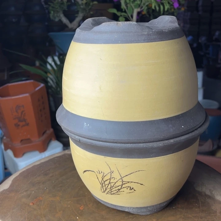 紫砂宜兴紫砂黄色三角金钟25+25