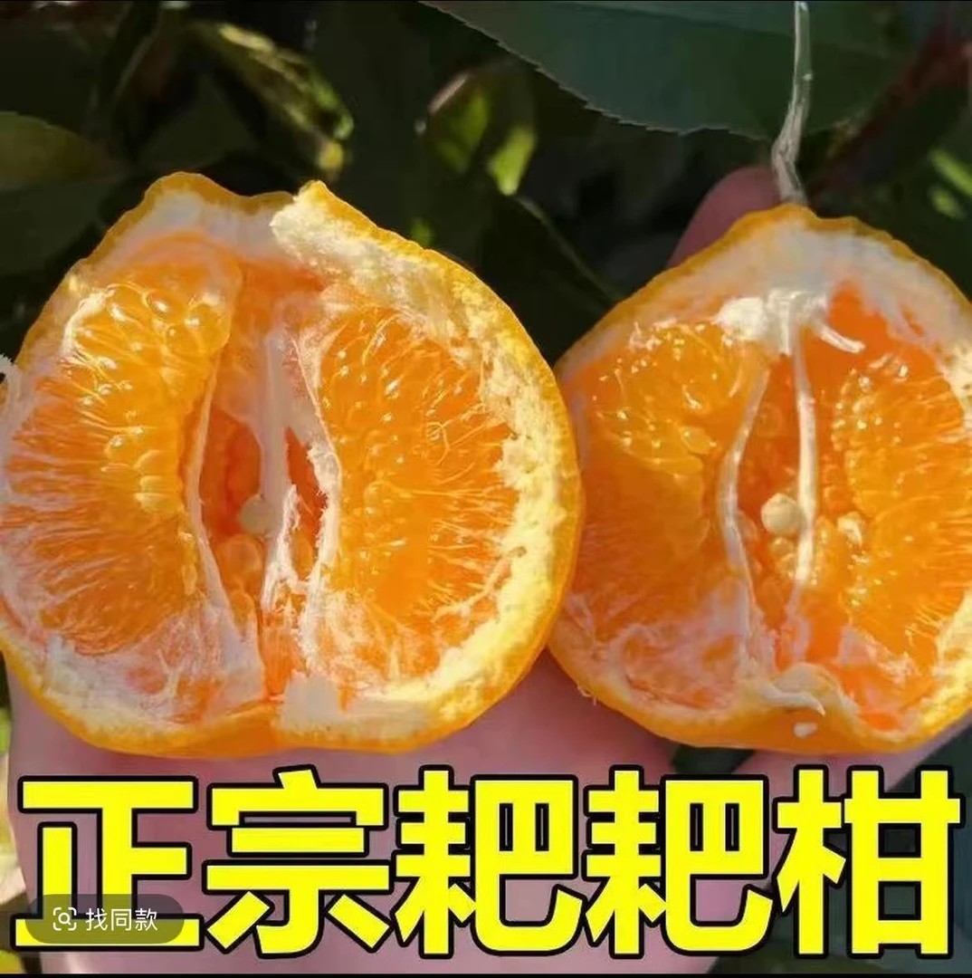 正宗粑粑柑水果新鲜应急批发5斤整箱