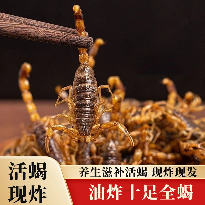 正宗油炸蝎子食用洛阳十足养生滋补全蝎现炸现发特产即食昆虫美食