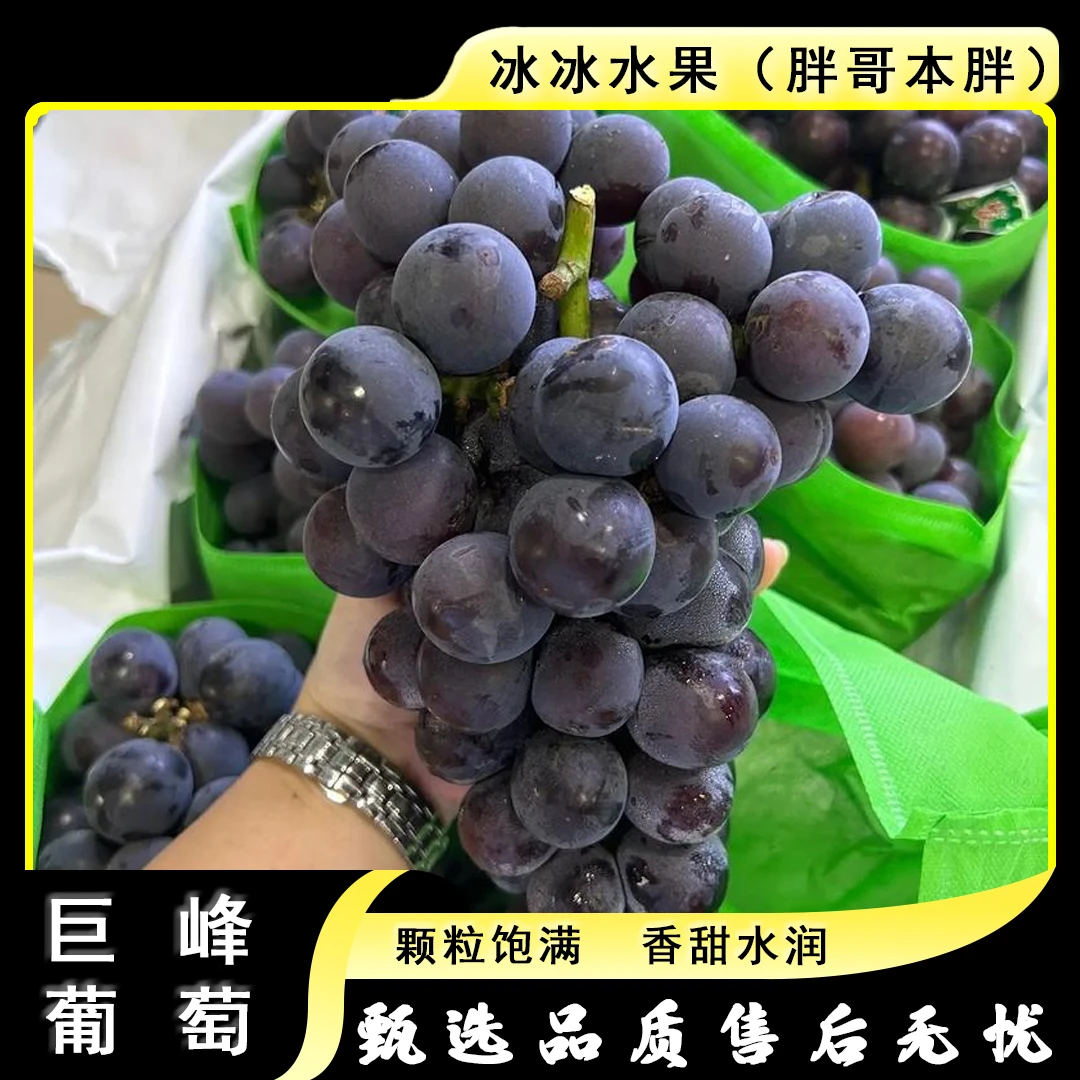 【散装】[Z]巨峰葡萄 份/净重4斤左右 仅限太原晋中吕梁忻州可拍