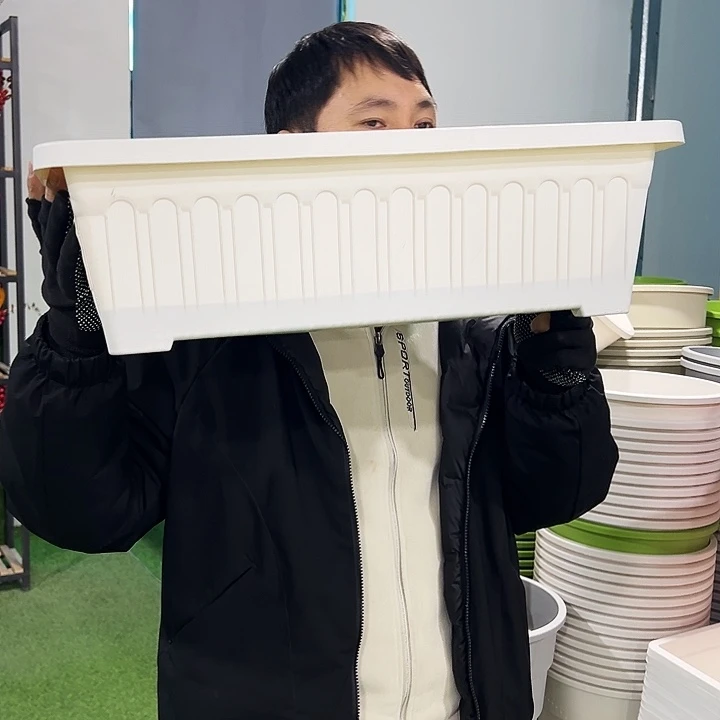 特价菜盆长56宽24高15白色3个