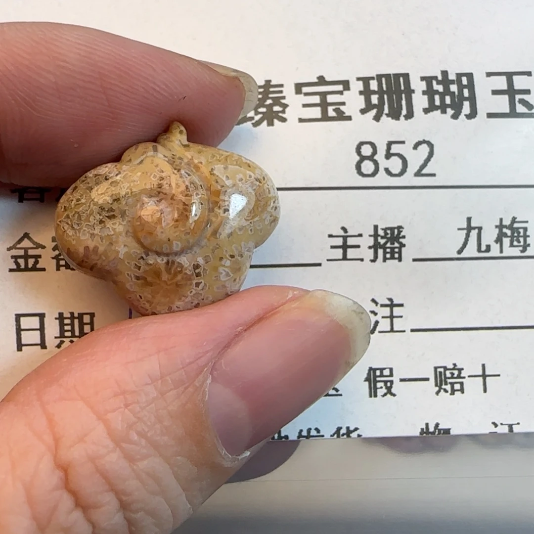 硅化珊瑚（珊瑚玉）未镶嵌吊坠(不含链)