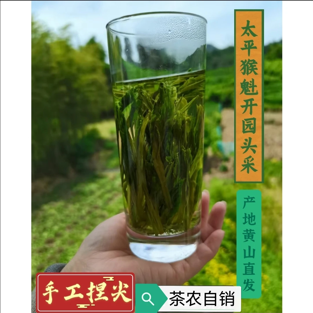 2025头采土种太平猴魁  高山捏尖猴魁  新茶绿茶  茶农自销