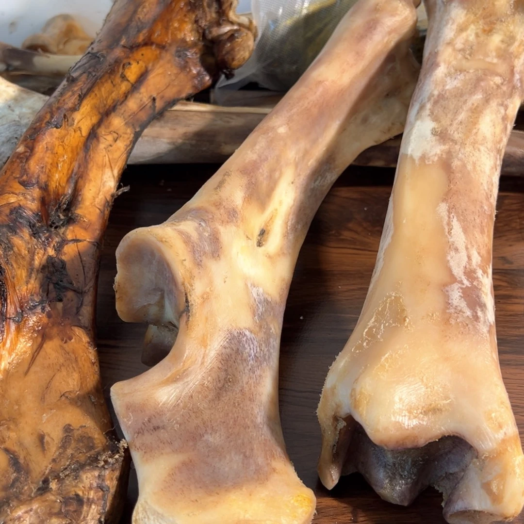 李***才hhhu三根腿骨腿骨腿骨