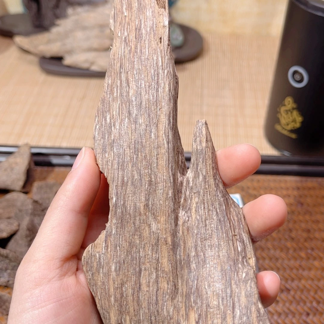 香榧木海南木料七仙岭下播福利