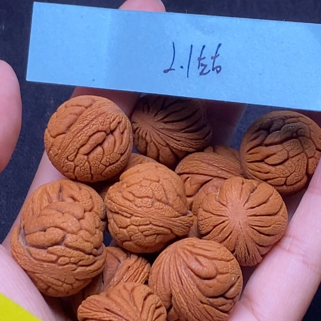 秦岭山脉龙纹桃核 13