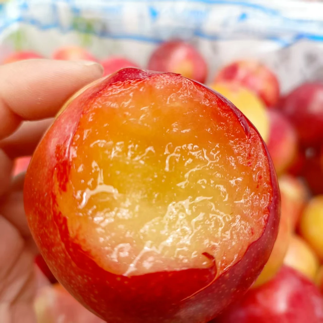糖果李子（枝膜叶膜属于正常现象）