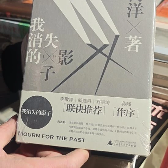 我消失的影子精装塑封库存书全新