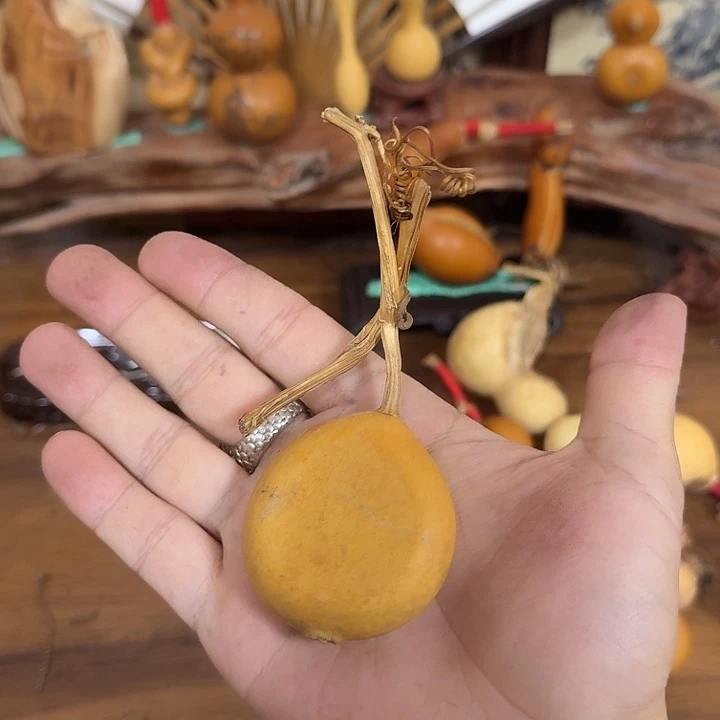 姚***生dvdbdhrhrhdbdbdbdbd