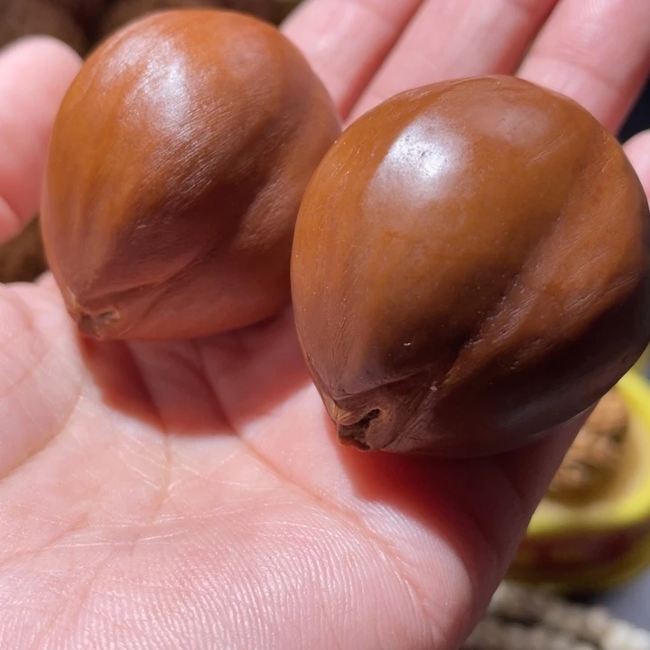 桃核把件橘子核橄榄