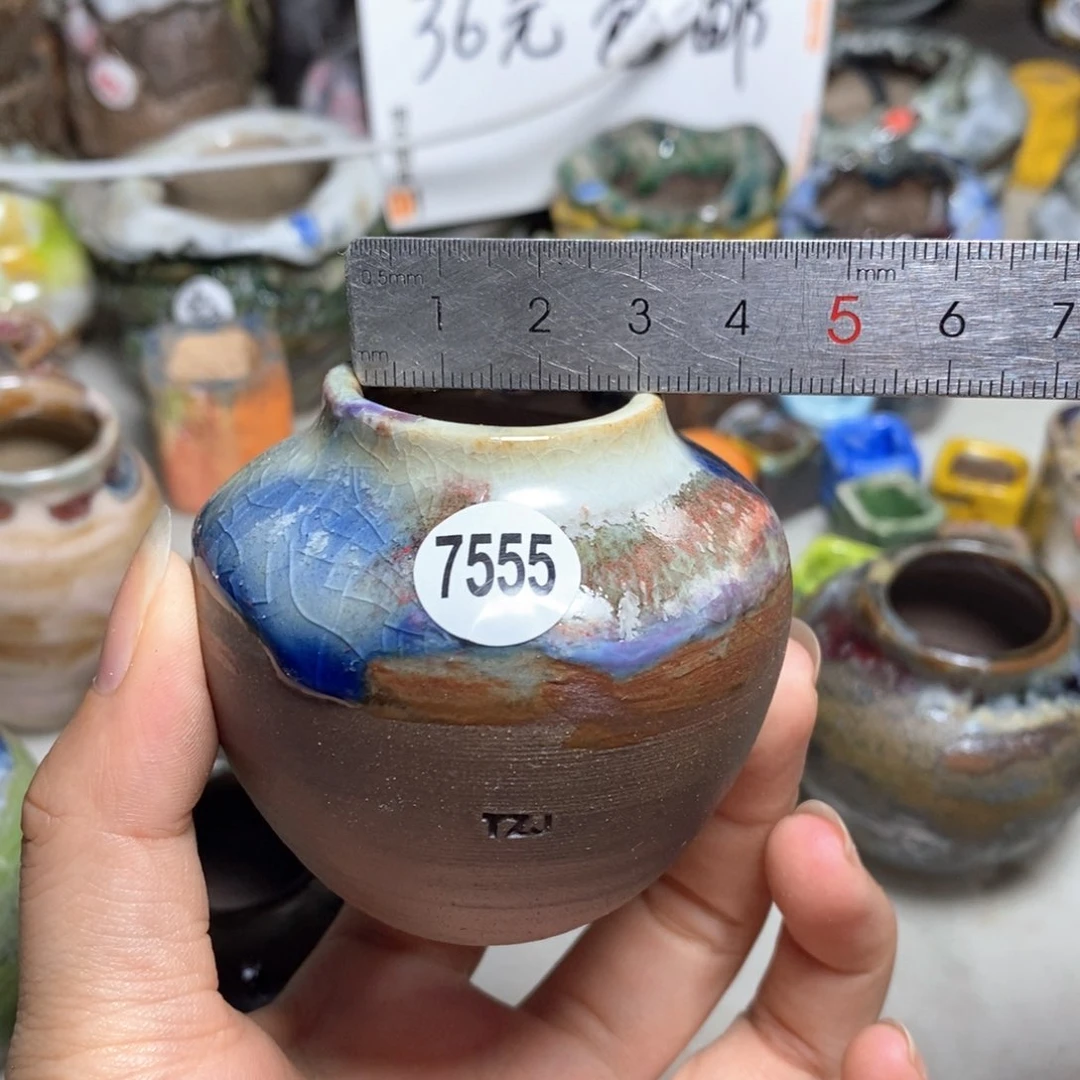 拍5送一个小礼物
