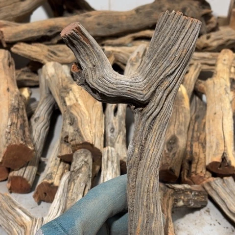 大果紫檀（缅甸花梨）N*