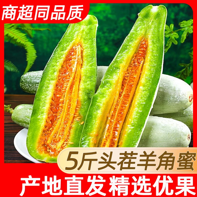 头茬羊角蜜甜瓜脆甜水果新鲜当季小蜜瓜香瓜蜜瓜应季特产菜瓜