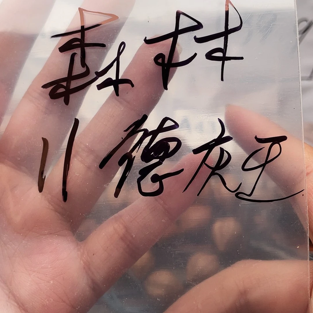 橄榄核手串/手链森****士橄榄