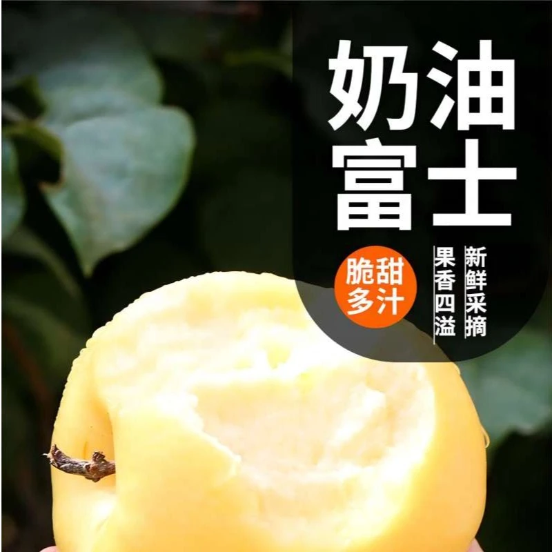 山东黄金奶油苹果新鲜水果脆甜多汁孕妇适宜