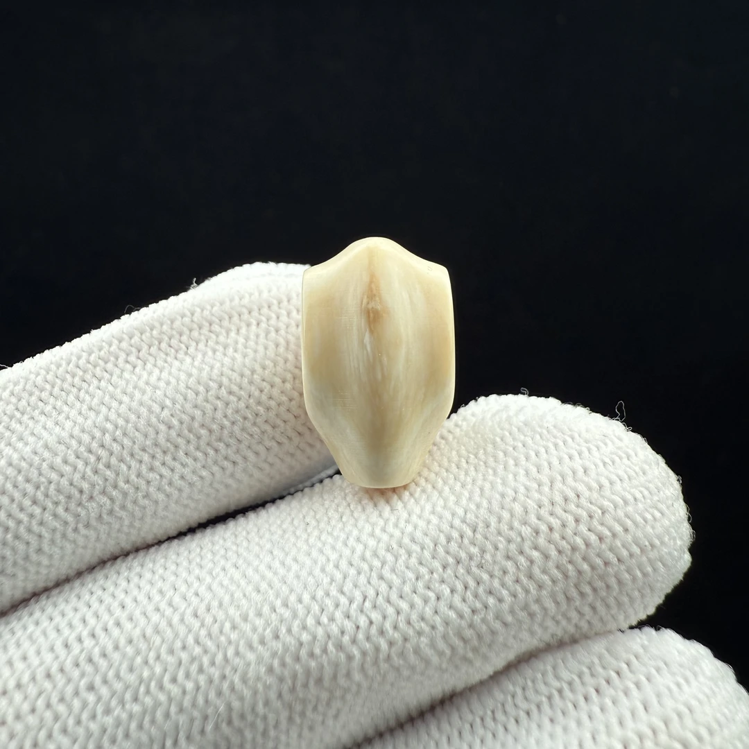 D22-35天然猛犸牙 鲨鱼背三通 10.8*17.9mm支持复检 假一罚十