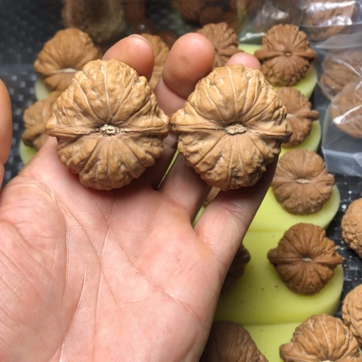 恭***財大叶紫檀（黑酸枝木类）