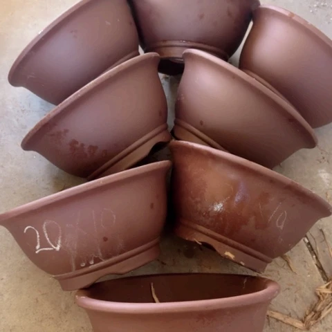 100-8。       20-10