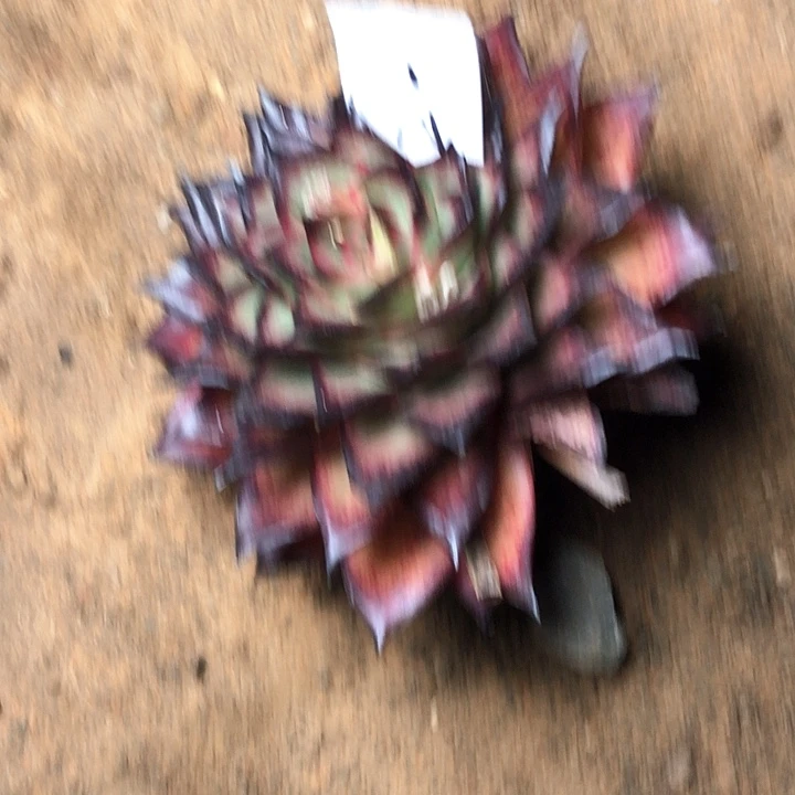 24////////////////