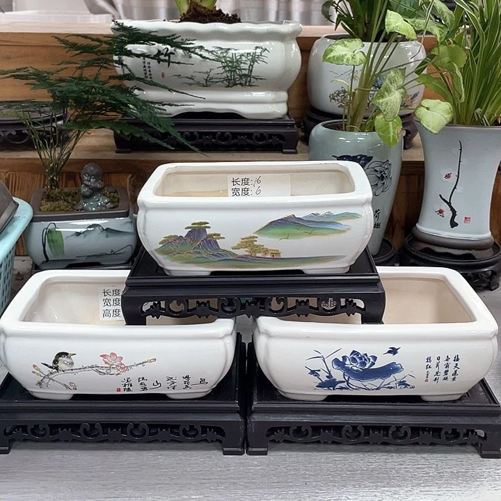 陶瓷花盆抢购福利活动