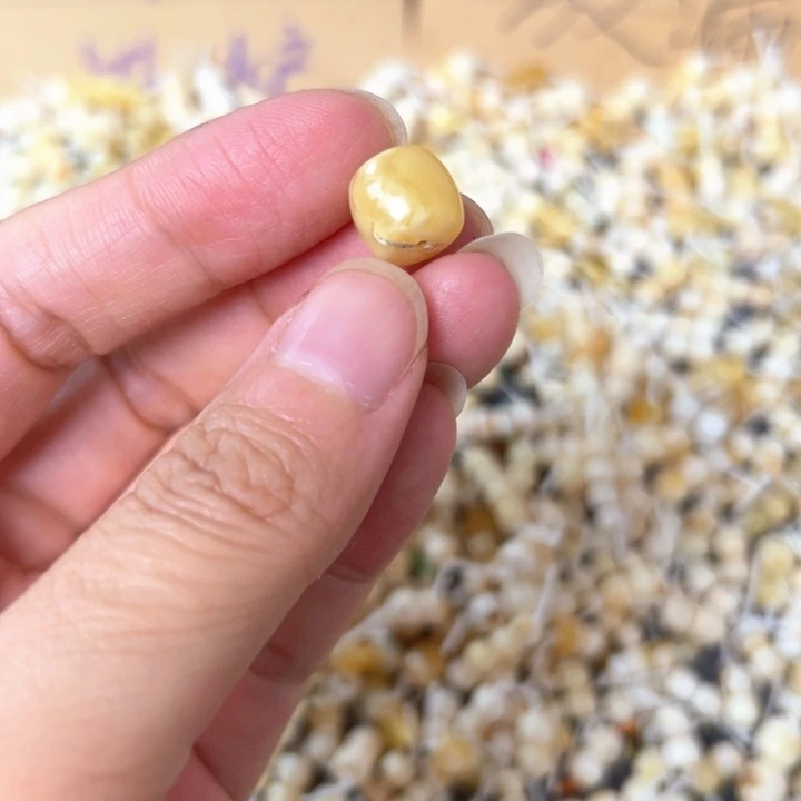 裸石蜜蜡未镶嵌10.5mm一个