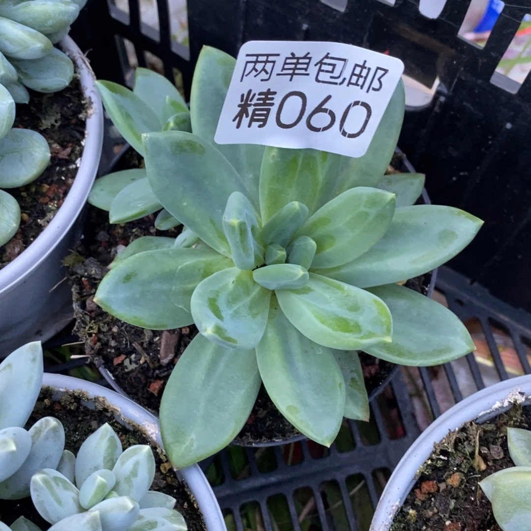 哈哈哈哈哈哈哈哈060