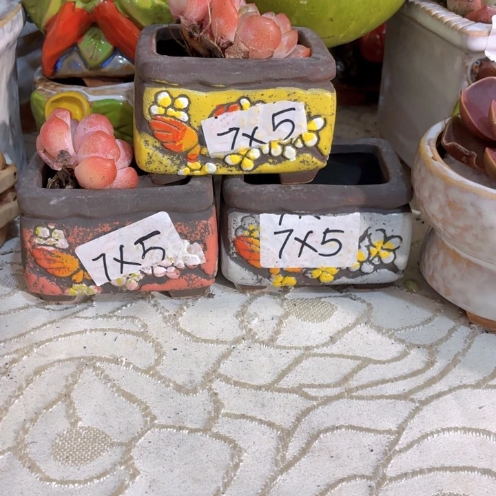 多肉花盆满15包邮