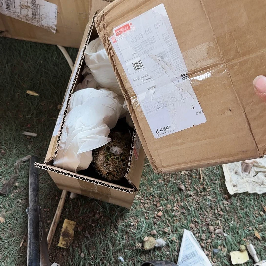 20号一箱侧四个加个球