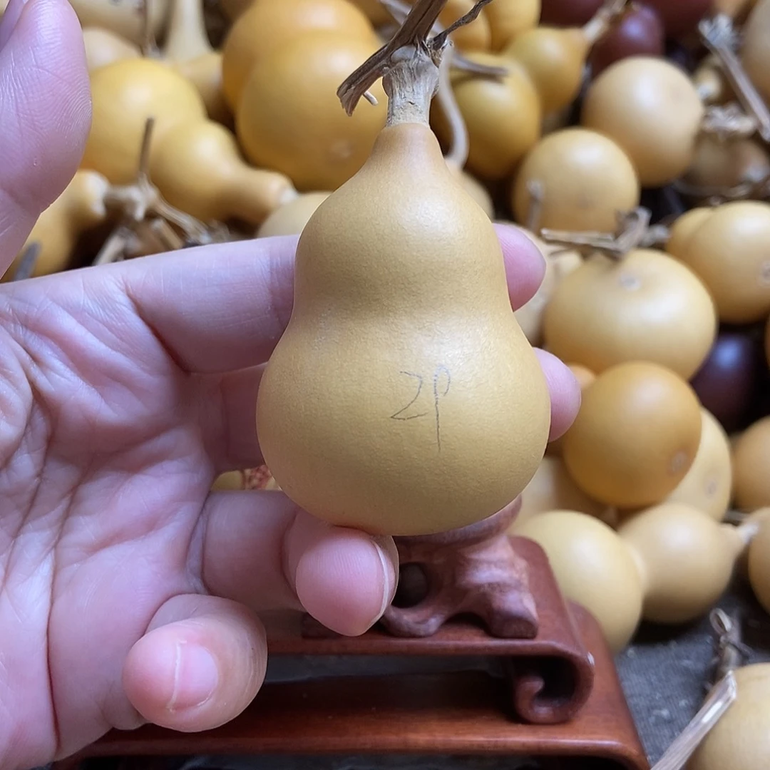 文玩葫芦 完美主义者 慎拍29