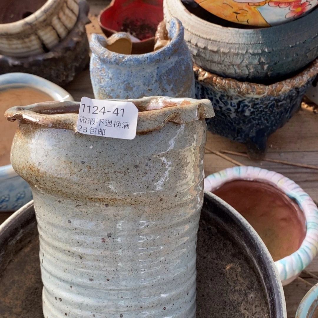 41号花盆内11高20