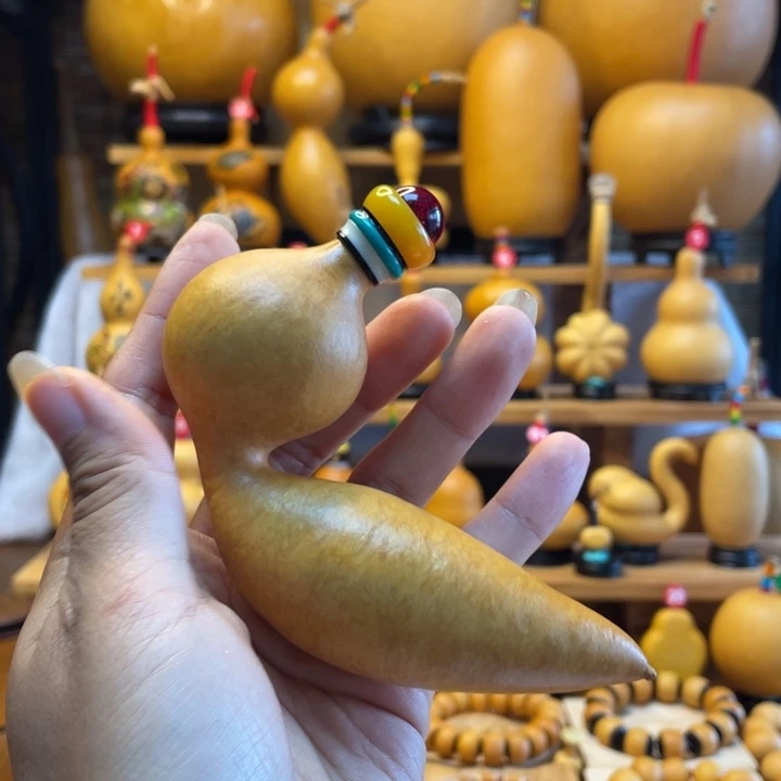 末***南天然葫芦自然生长