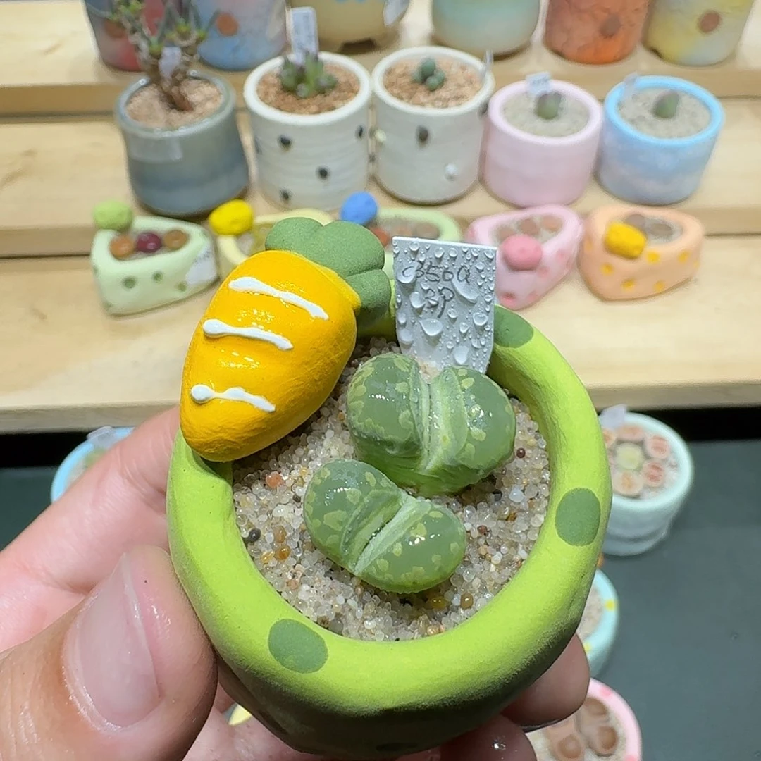 红陶蘑菇815绿大牙