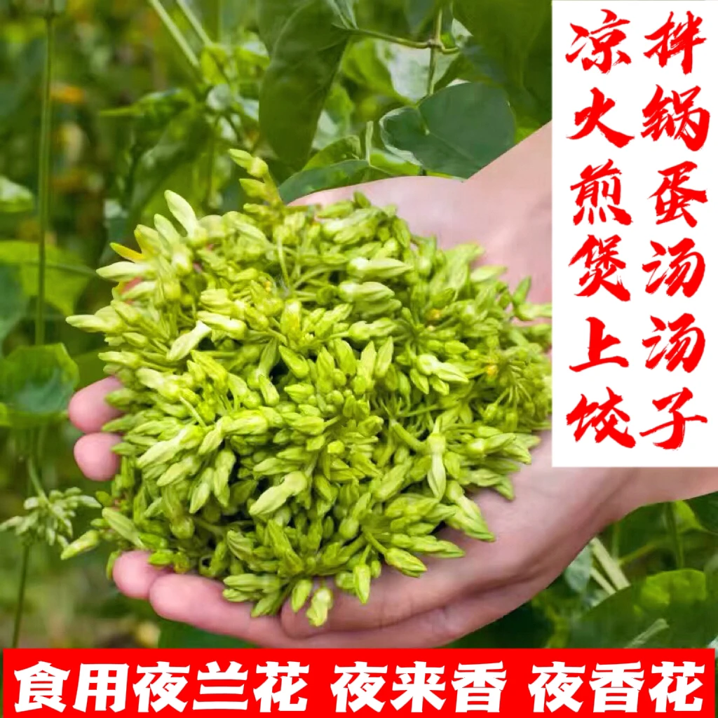 顺丰包邮|夜兰花食用夜香花特色蔬菜夜来香千里香煎蛋火锅凉拌