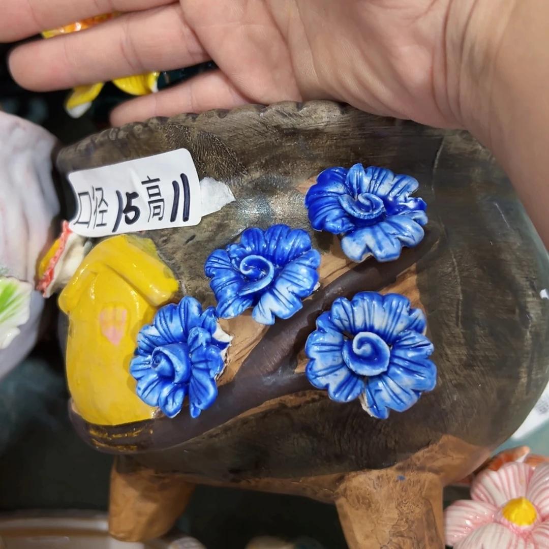 本场直播满100赠送一个花盆