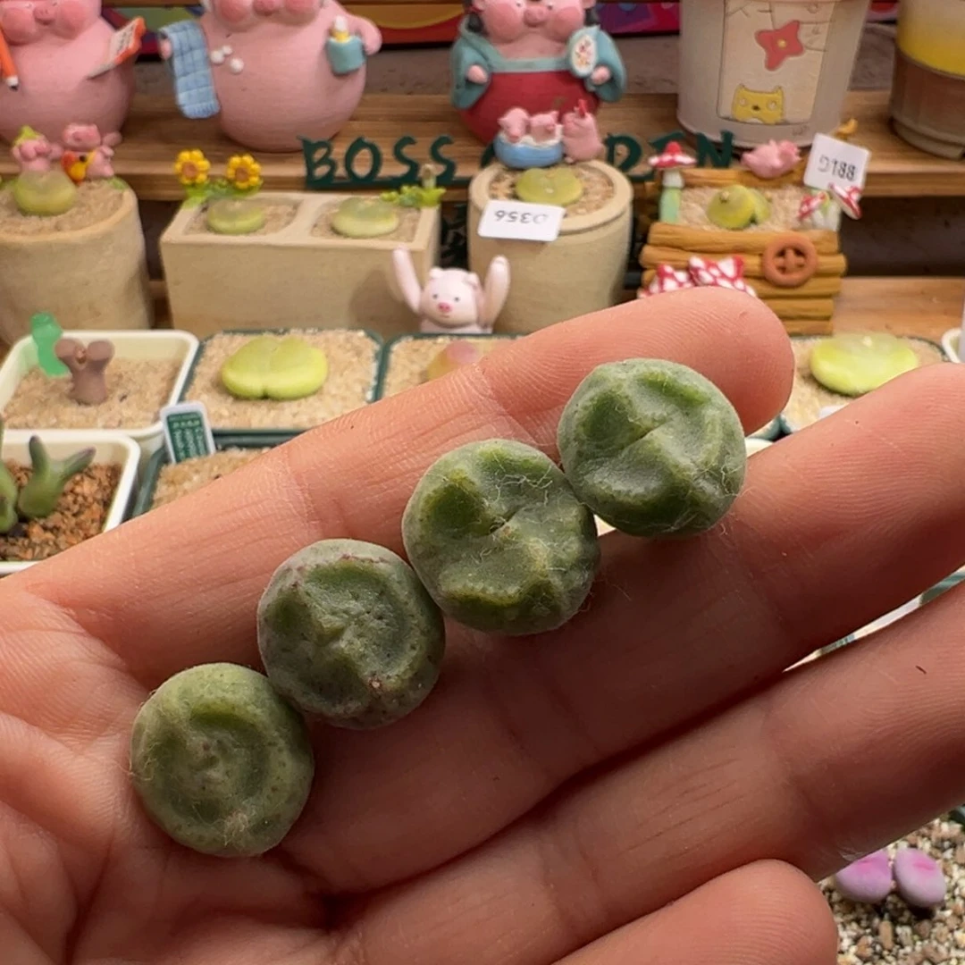 371。青蛙优选鬼脸嘟嘟绿豆糕 单颗