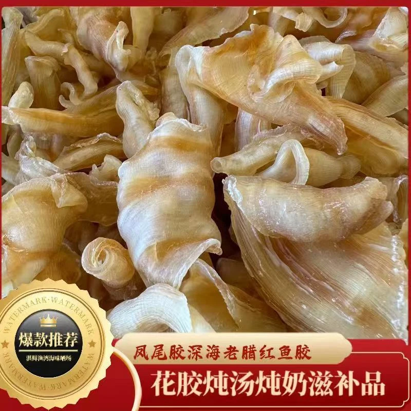精选深海凤尾花胶